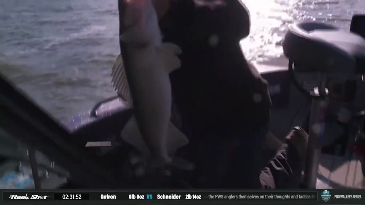 H2H Pro Walleye Series Championship Lake Chautauqua NY Day 2 -