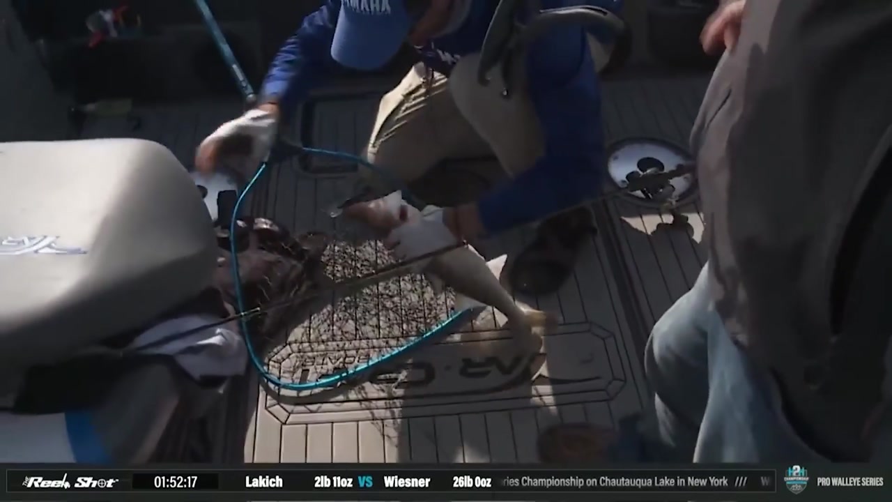 H2H Pro Walleye Series Championship Lake Chautauqua NY Day 4 -