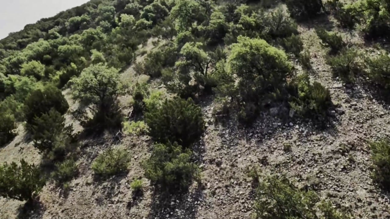 Ep.7 - Over 100 hogs killed in TX