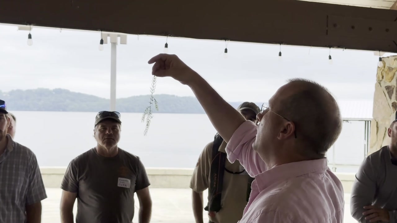 Ep.38 - Identifying Aquatic Plant Life